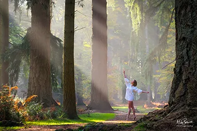 Woman on a footpath in a misty forest with rays of light coming through trees